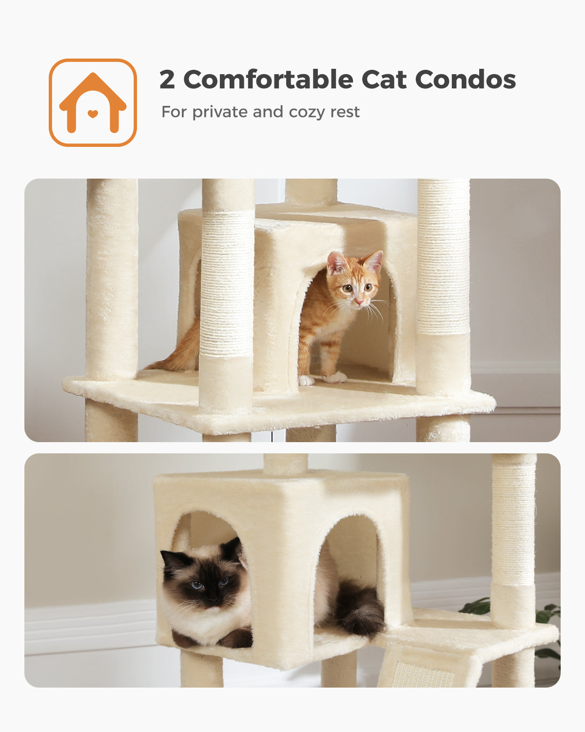 Adult cat condo best sale